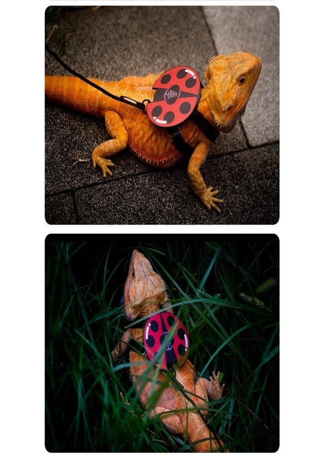 FORZENA Bearded Dragon Harness Leash Soft Leather Harness with Ladybug Patch Adjustable Strap Outside Walk Training Leash for Reptile Lizard Amphibians (Red) - Image 5